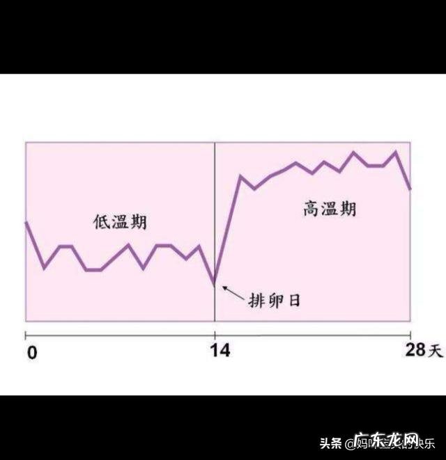 月经几天后是排卵期?