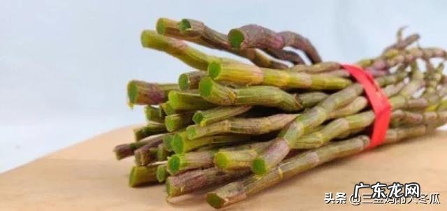 怀孕妇吃鹅蛋去胎毒是不是真的?