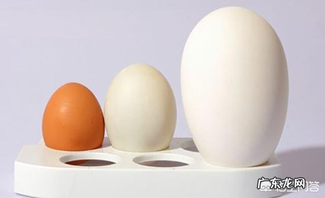 怀孕妇吃鹅蛋去胎毒是不是真的？