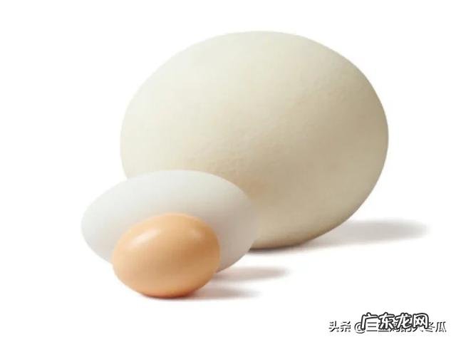 怀孕妇吃鹅蛋去胎毒是不是真的?