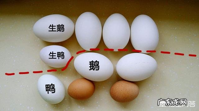 怀孕妇吃鹅蛋去胎毒是不是真的？