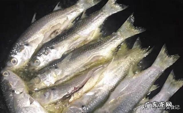 又是一年休渔期,如果今年还是5月1日开始,你认为这有必要吗?