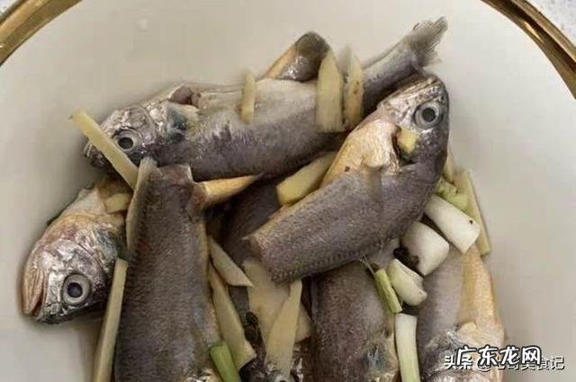 又是一年休渔期,如果今年还是5月1日开始,你认为这有必要吗?