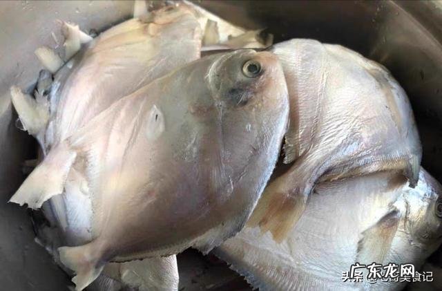 又是一年休渔期,如果今年还是5月1日开始,你认为这有必要吗?