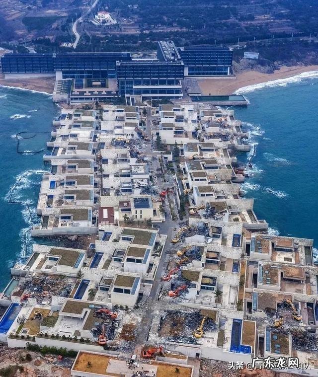 疫情的年份，全国各地旅行社、导游、住宿、餐饮业的前景如何？