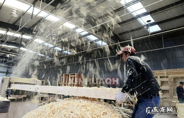 农村有哪些小投资办厂的项目?