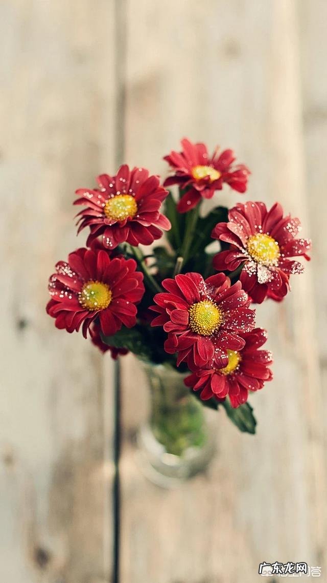 到结婚的年纪了,找不到合适的人结婚怎么办?