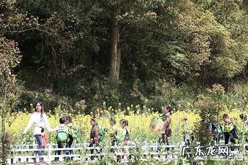 五一自驾带孩子出去,哪里值得去?