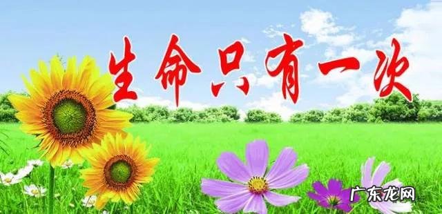 临终的人会有什么样的感受?