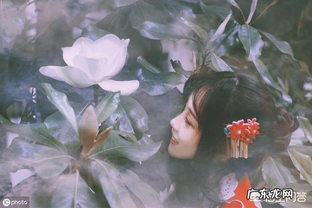 怎么用古风的话表达“我想你了”?