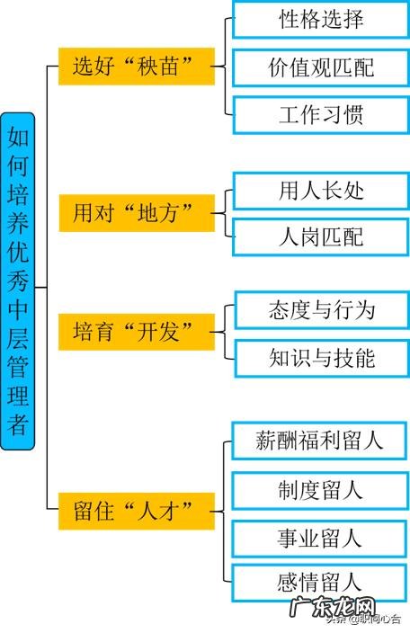 如何培养企业优秀的中层管理人才?