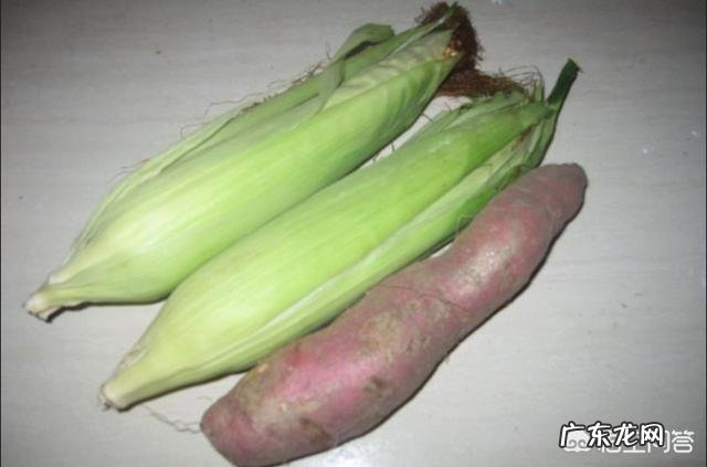 吃什么食物奶比较多呢?