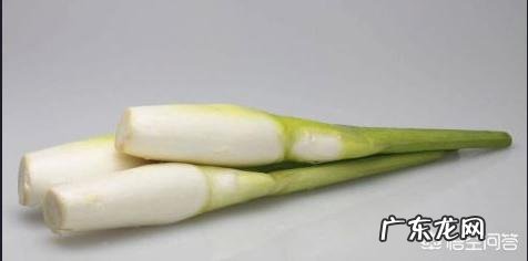 吃什么食物奶比较多呢?