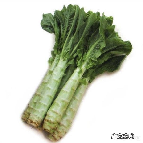 吃什么食物奶比较多呢?