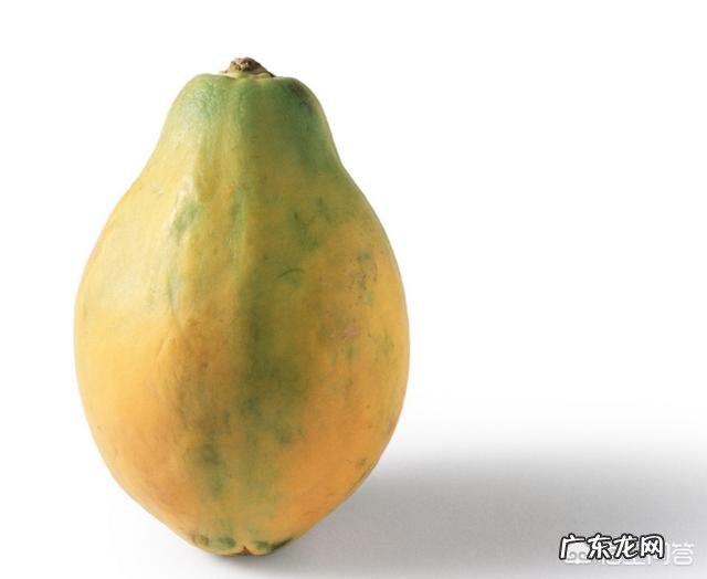 吃什么食物奶比较多呢?