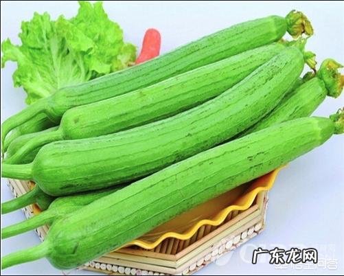 吃什么食物奶比较多呢?