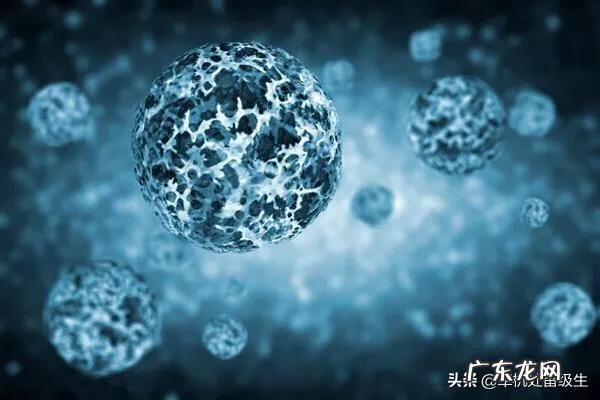 木乃伊会携带古代病原体吗?有何科学依据?