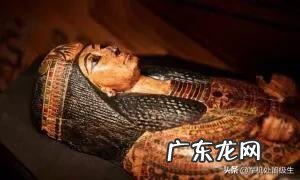 木乃伊会携带古代病原体吗？有何科学依据？