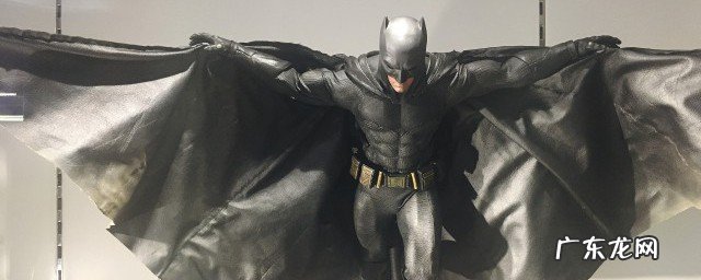 蝙蝠为什么会飞进房间