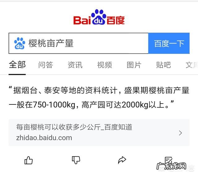 车厘子为什么比很多水果都贵？