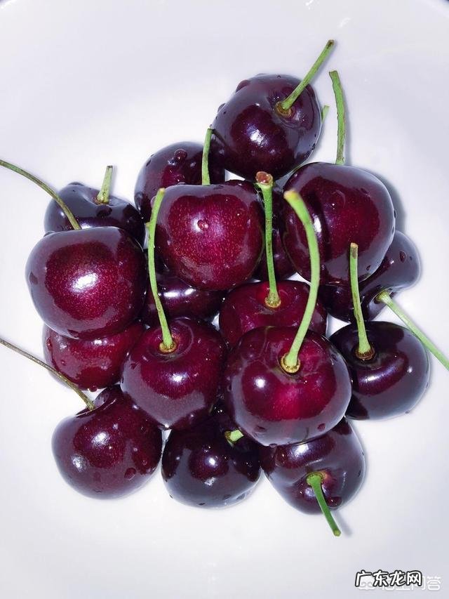 车厘子为什么比很多水果都贵？