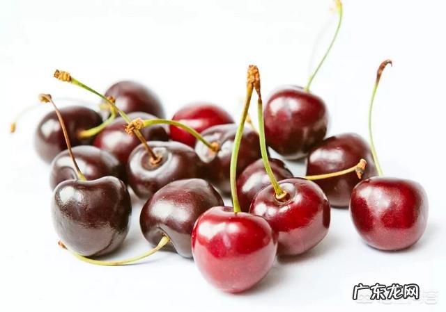 车厘子为什么比很多水果都贵?