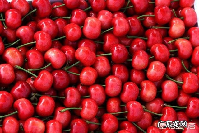 车厘子为什么比很多水果都贵？