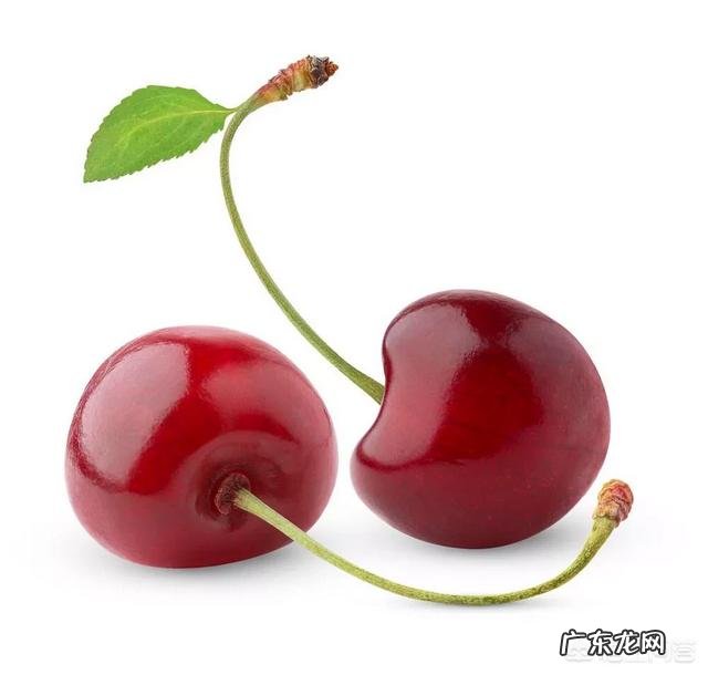 车厘子为什么比很多水果都贵？