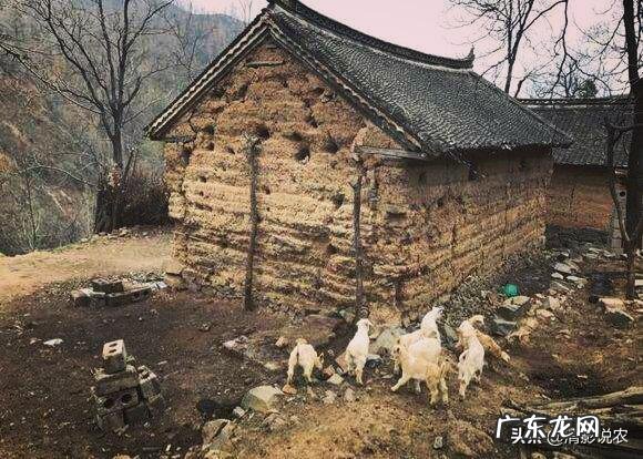 在农村里,为什么有些人家里经常有蛇出现,是什么原因?