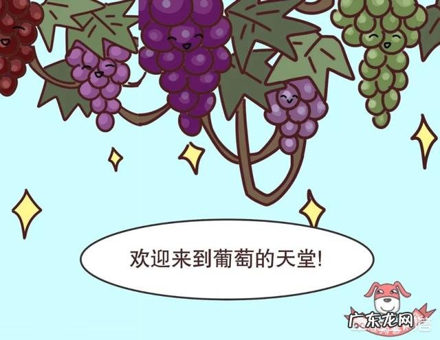 不同样色的同类蔬果,如紫葡萄、红提等,在营养价值上面有什么不同吗?