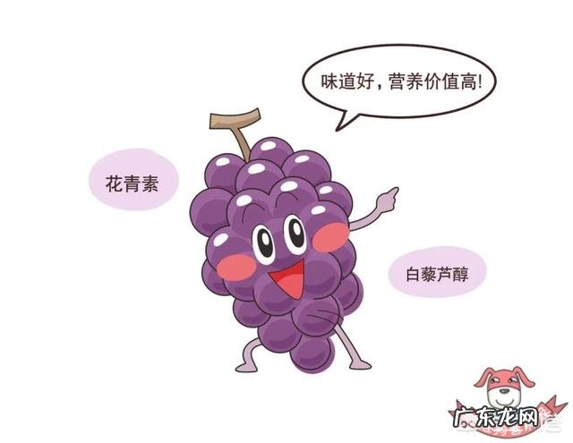 不同样色的同类蔬果,如紫葡萄、红提等,在营养价值上面有什么不同吗?