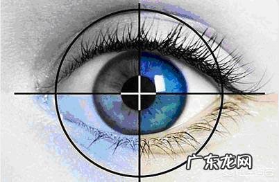 防止人的近视眼度数持续增长的方法有哪些?