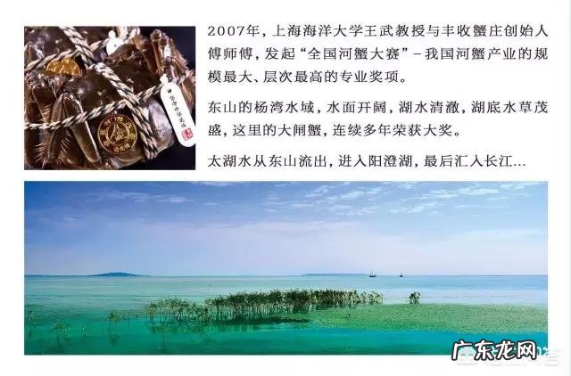 螃蟹除了蒸煮,你还会哪些美味的做法?