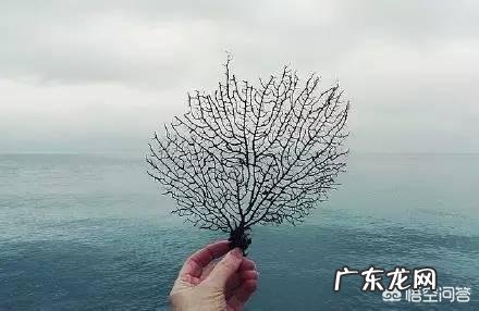 “天之道损有余而补不足”怎么理解?