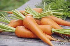 胡萝卜相克的食物