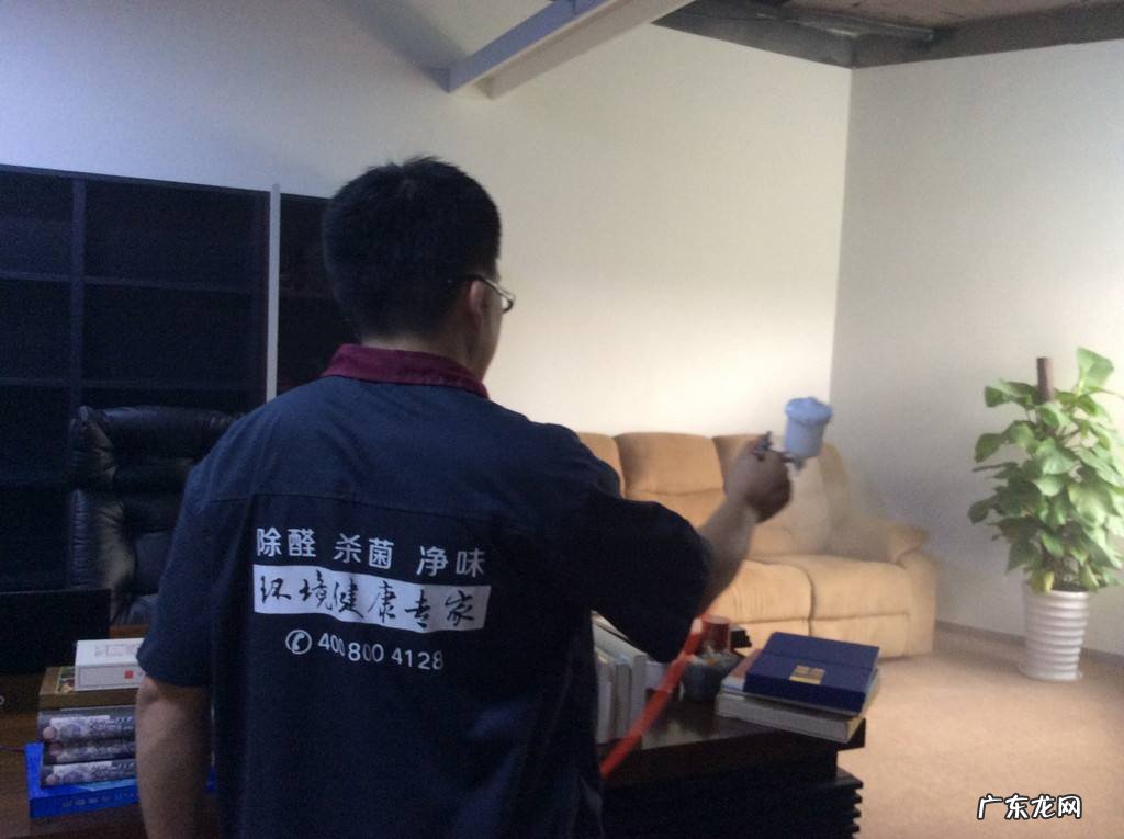 什么可以除甲醛除异味