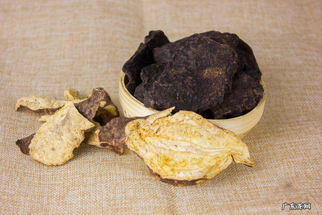 何首乌有什么功效