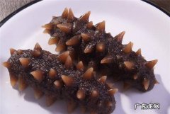 适宜吃海参的人群