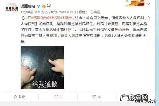 偷狗贼被围殴致死，法院肯定见义勇为但构成犯罪，9人均获刑，你怎么看？