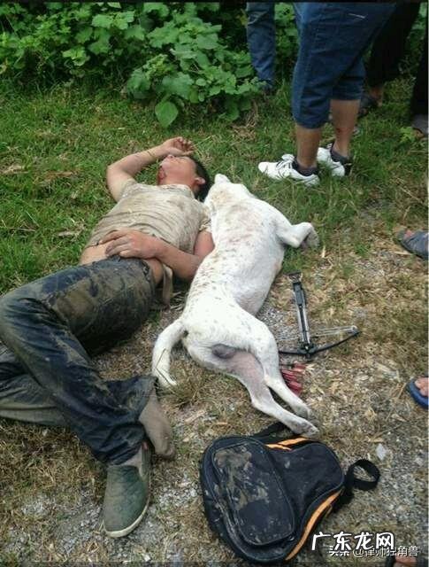 偷狗贼被围殴致死，法院肯定见义勇为但构成犯罪，9人均获刑，你怎么看？