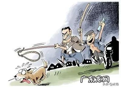 偷狗贼被围殴致死，法院肯定见义勇为但构成犯罪，9人均获刑，你怎么看？