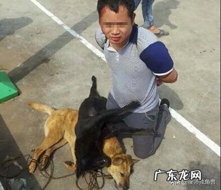 偷狗贼被围殴致死，法院肯定见义勇为但构成犯罪，9人均获刑，你怎么看？