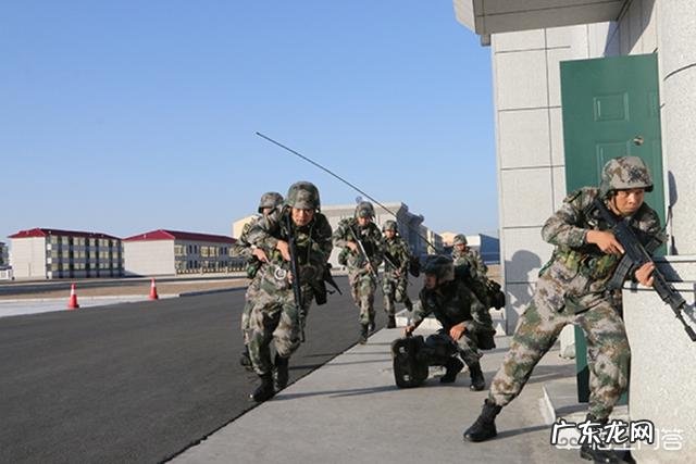 士官的职业发展方向有哪些？