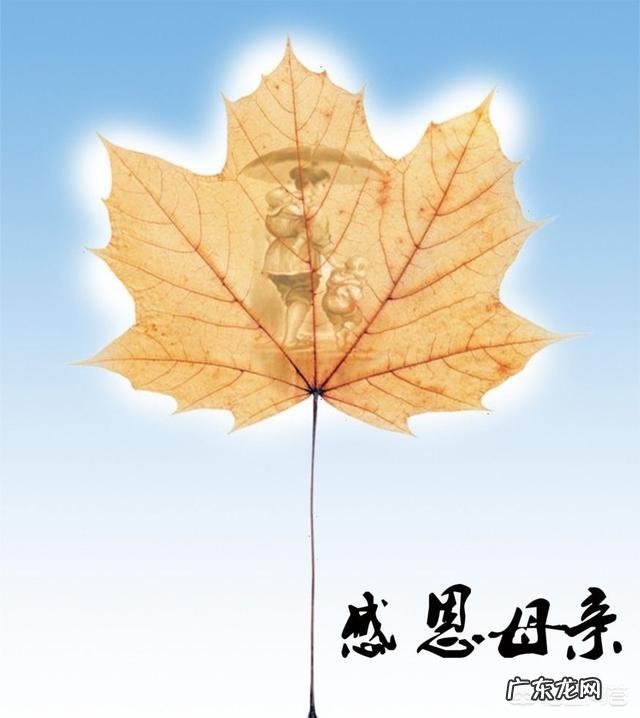 今天三八妇女节,你们有送礼物给最敬爱的母亲吗?