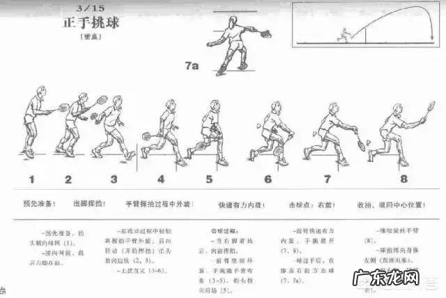 初学羽毛球者的基本动作要领是什么？怎样打好羽毛球呢？