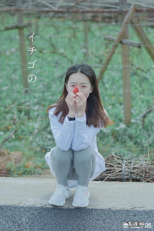 初学羽毛球者的基本动作要领是什么？怎样打好羽毛球呢？