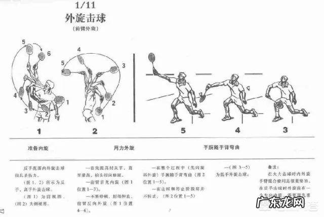 初学羽毛球者的基本动作要领是什么？怎样打好羽毛球呢？