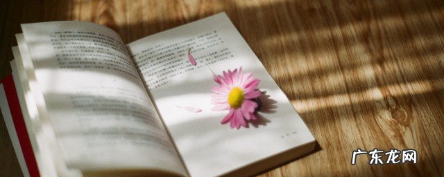 一句话精致早安生活