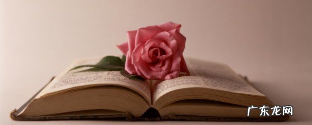 霸气人生语录写给自己