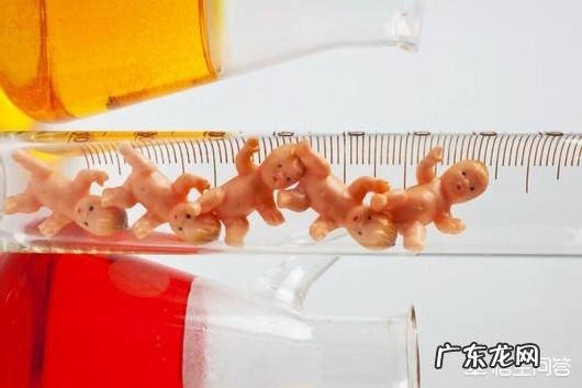 卵子质量差，做不了试管，怎样提高卵子质量呢？